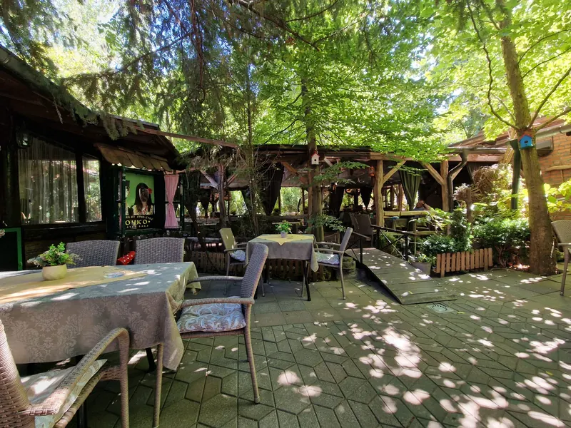 Stolovi u letnjoj bašti u hladu drveća